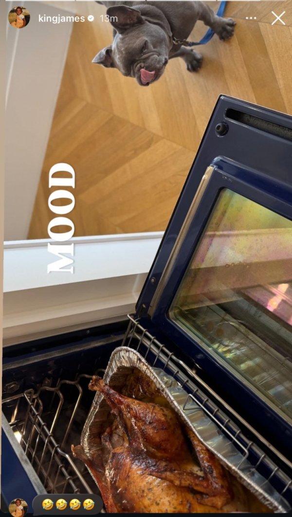 Bạn cũng muốn ăn à? Vào đêm 